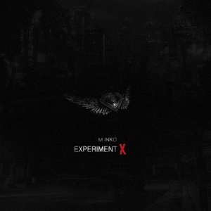 EXPERIMENT X