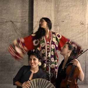 Sormeh 的头像