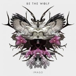 Imago