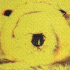 David Coulter / Michael Gira / Jean Marie Mathoul / Charlemagne Palestine 的头像