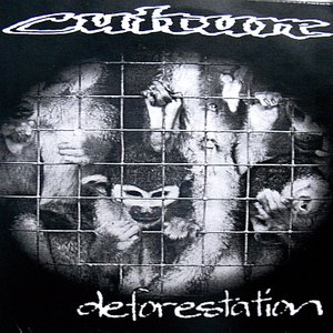 Deforestation