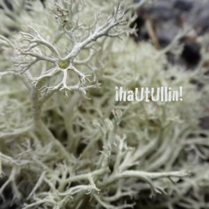 Hautullin