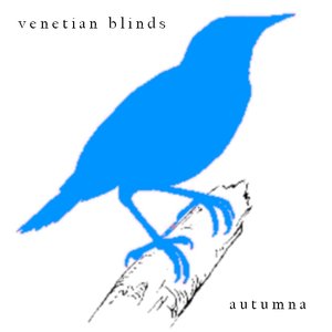 venetian blinds