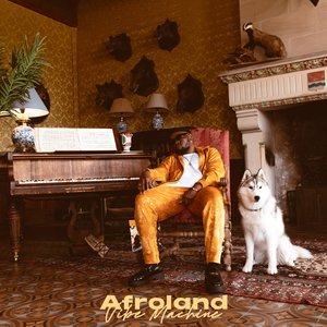 Afroland : Vibe Machine