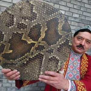 Yasin Yakup 的头像
