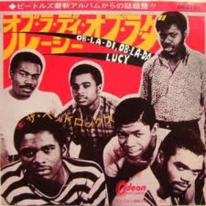 the bedrocks 的头像