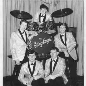 The Sting Rays 的头像