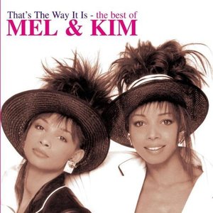 Bild für 'That's The Way It Is-The Best Of Mel & Kim And Kim Appleby'