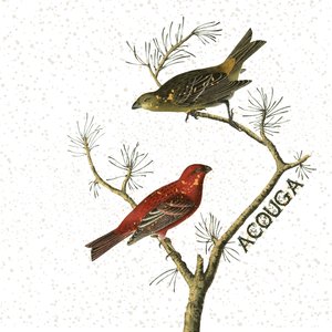 Novo Paradigma - Single