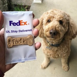 blessed (fed ex)
