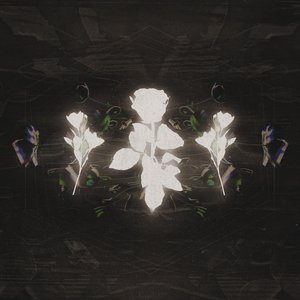 Windflower: The Remixes