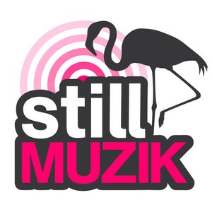 stillmuzik için avatar