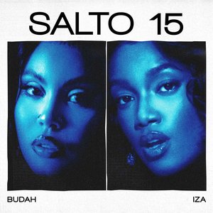 SALTO 15