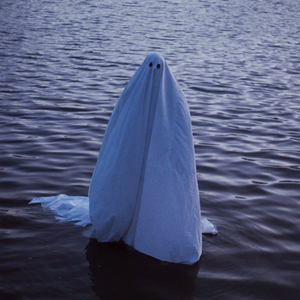 Artwork for Wiedergänger