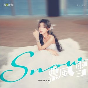 飄雪 (拾回計劃)