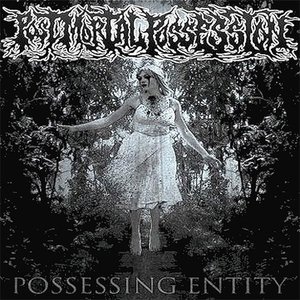 Possessing Entity