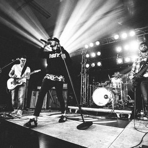 Polarbär Pollux 的头像