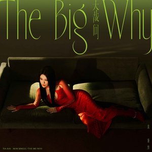 大哉问 (THE BIG WHY)