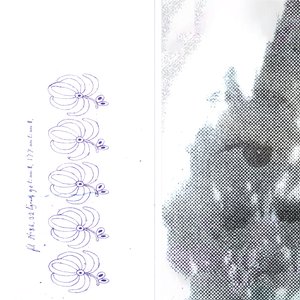 Amulet of Tears
