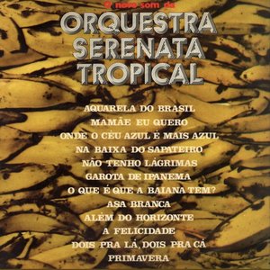 o novo som da orquestra serenata tropical