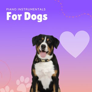 Piano Instrumentals for Dogs