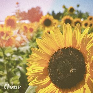 Gone - Single