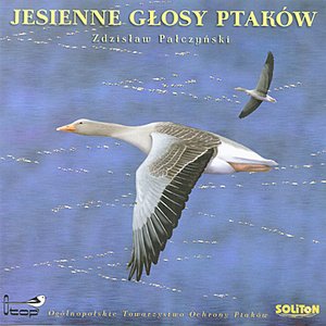 Autumn Bird Voices, Jesienne Glosy Ptakow