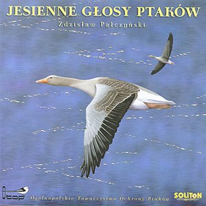 Autumn Bird Voices, Jesienne Glosy Ptakow