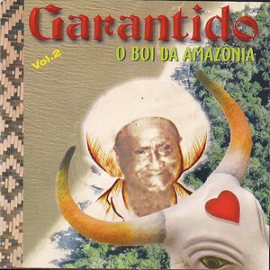 O Boi da Amazônia, Vol. 2