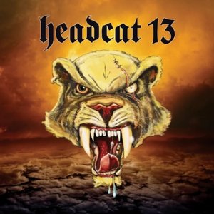 Headcat 13 的头像