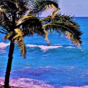 Hawaiive 的头像