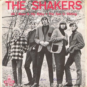 One Wonderful Moment — The Shakers | Last.fm