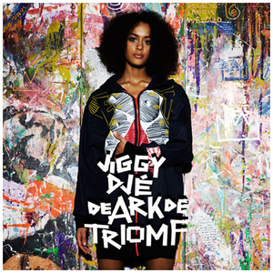 De ark de triomf cover