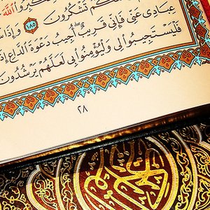 Sa'ad Al-Gamidi 的头像