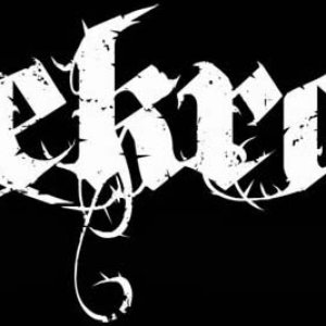 “Nekrad”的封面