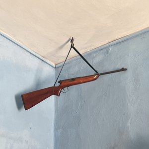 The Family Gun