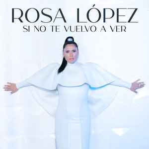 Si No Te Vuelvo a Ver - Single