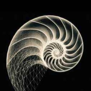 無限 Existence 的头像