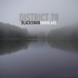 BLACK swan SWAN lake