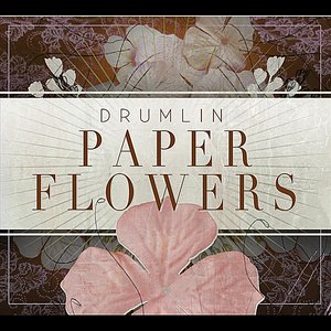 Paper Flowers