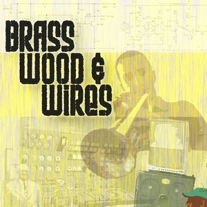 Brass Wood & Wires 的头像