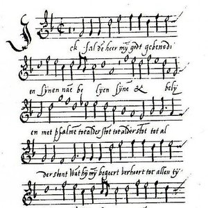 Noé Faignient 的头像