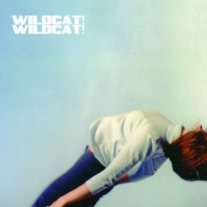 Image for 'Wildcat! Wildcat! - EP'