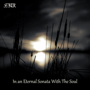 In an Eternal Sonata With The Soul