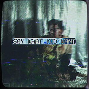Say What You Want - Single