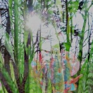 Horticulture 的头像