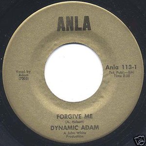 Dynamic Adam 的头像
