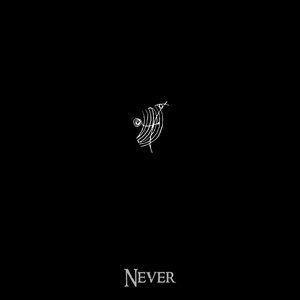 Never