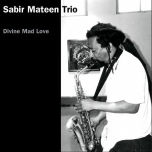 Image for 'Sabir Mateen Trio'