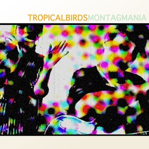 Tropical Birds